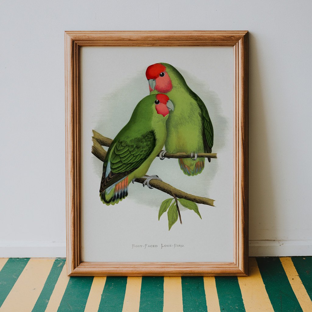 Rosy Faced Love Birds by Alexander Francis Lydon - Image 4