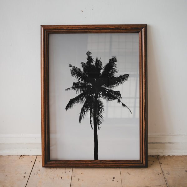 Black and White Palm Tree