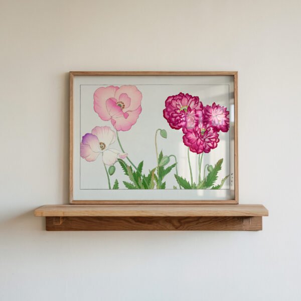 Poppy Flowers by Tanigami Kônan