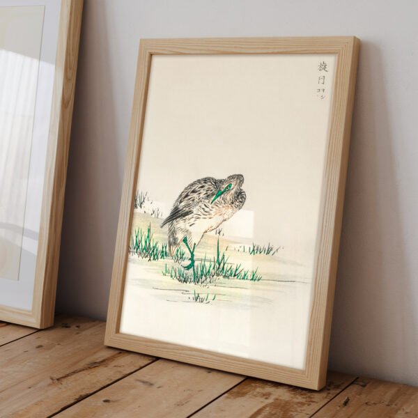 Chinese Little Bittern by Numata Kashu