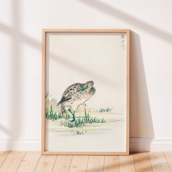 Chinese Little Bittern by Numata Kashu