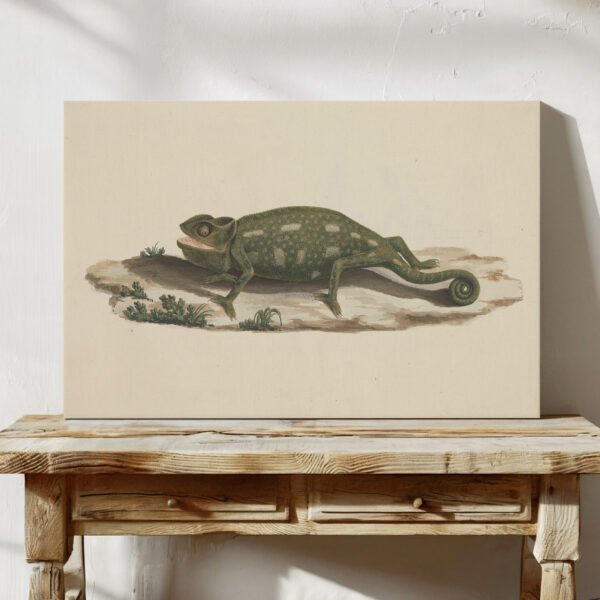 Chameleon by Luigi Balugani