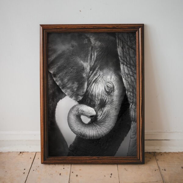 Gentle Giants – Black and White Elephant Wall Art Print
