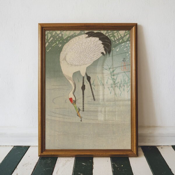 Fishing Crane in Shallow Water