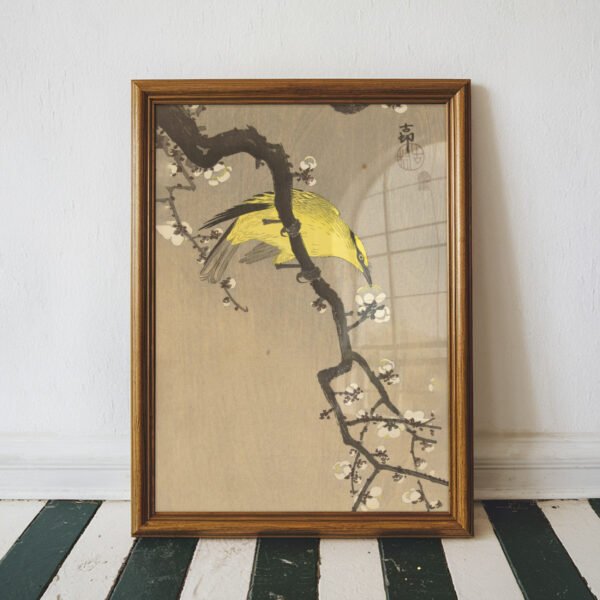 Chinese Golden Oriole on Plum Blossom Branch by Ohara Koson