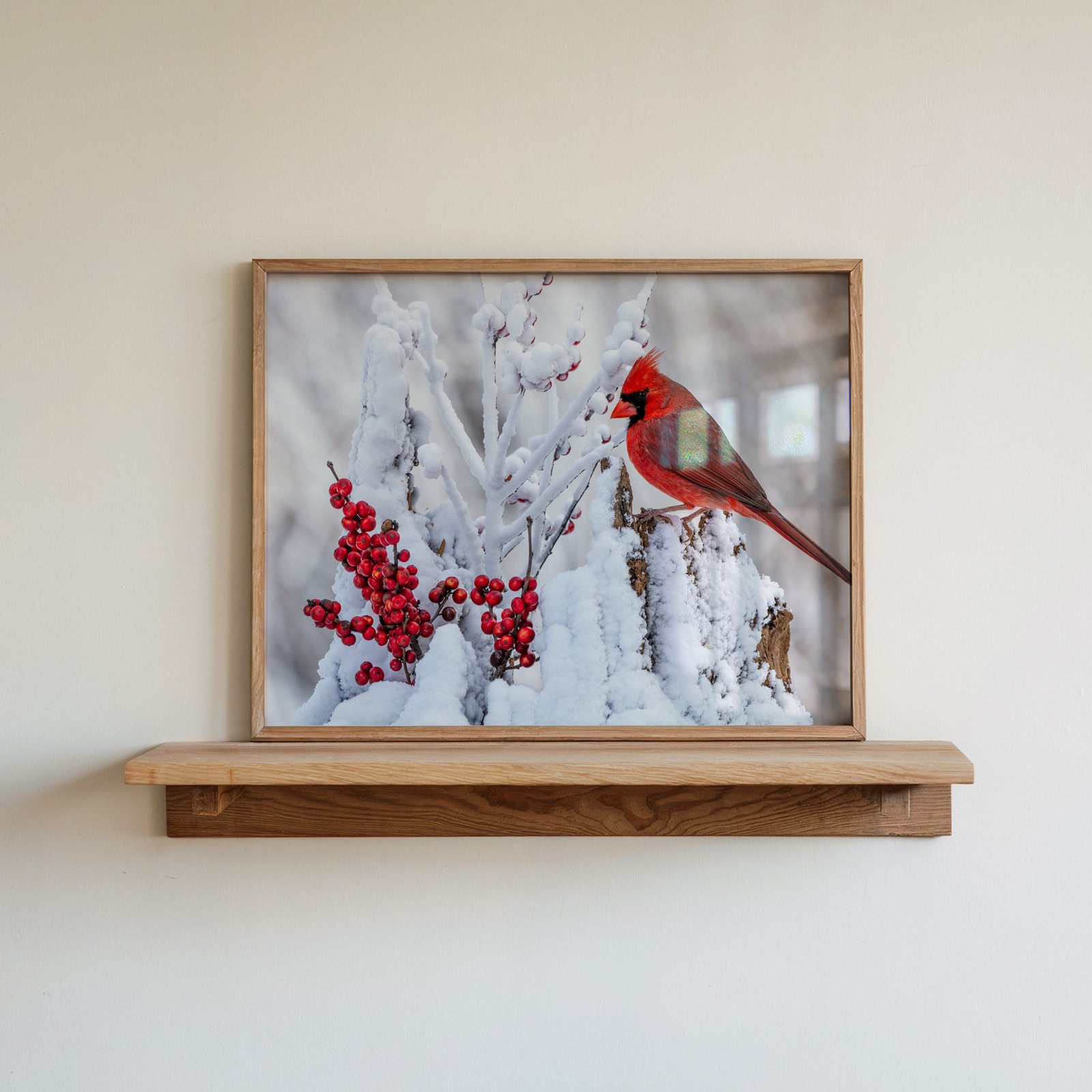 Winter Cardinal in Snow - Image 3