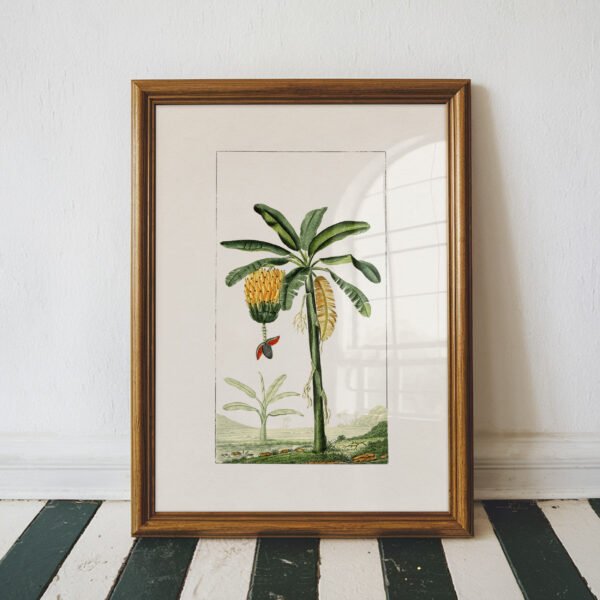 Banana Tree Botanical Wall Art