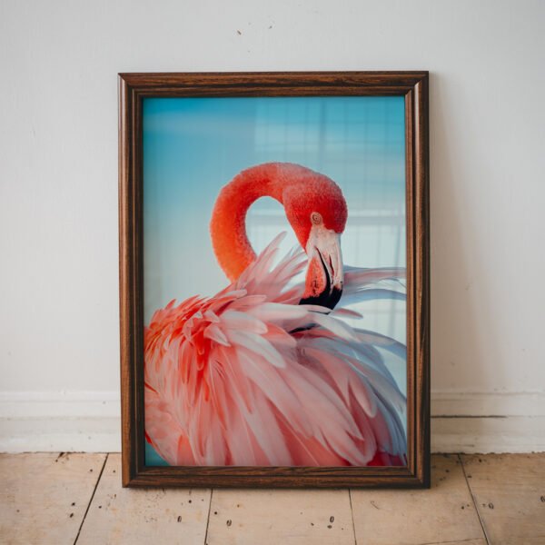 Pink Flamingo Wall Art