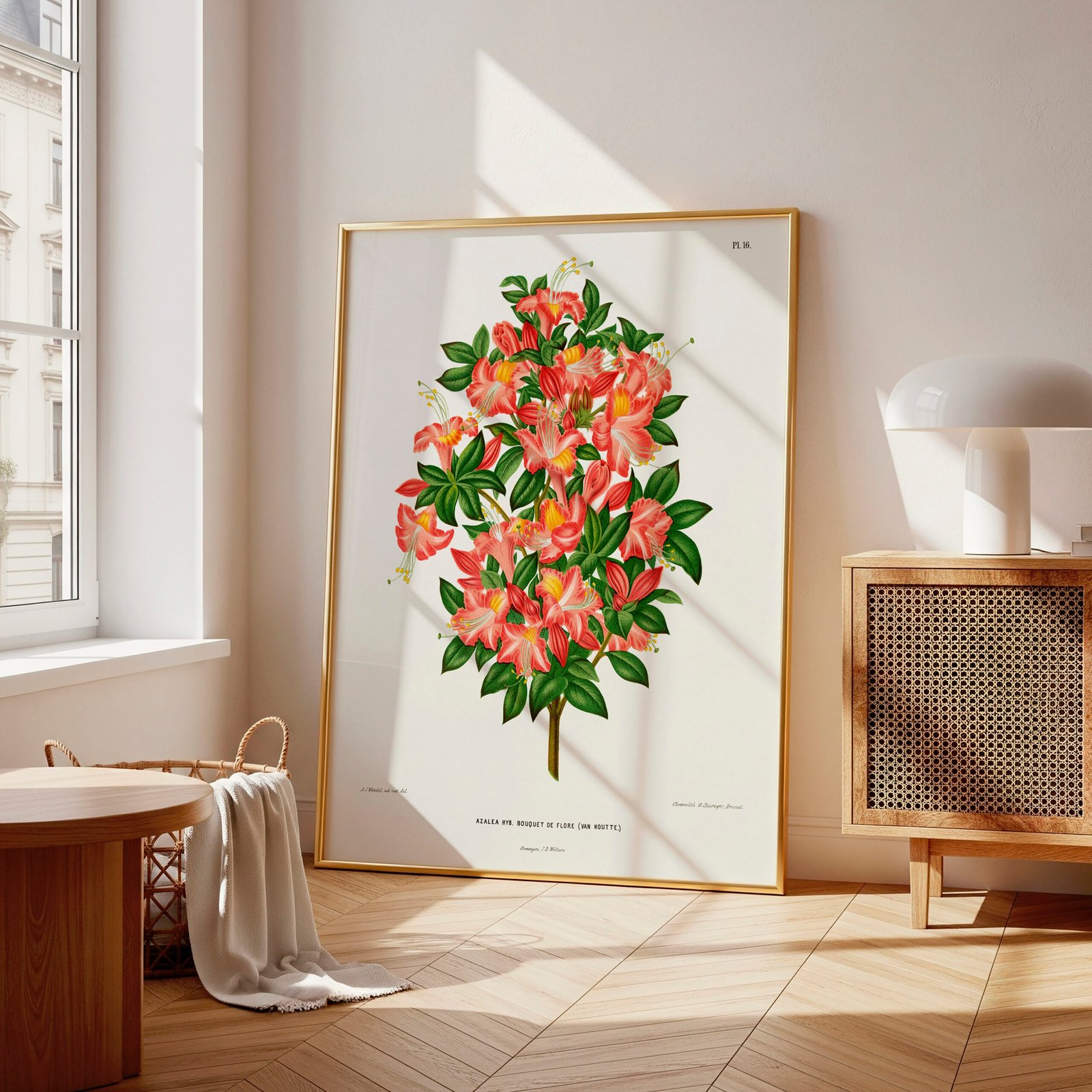 Azalea Botanical Print by Abraham Jacobus Wende - Image 3