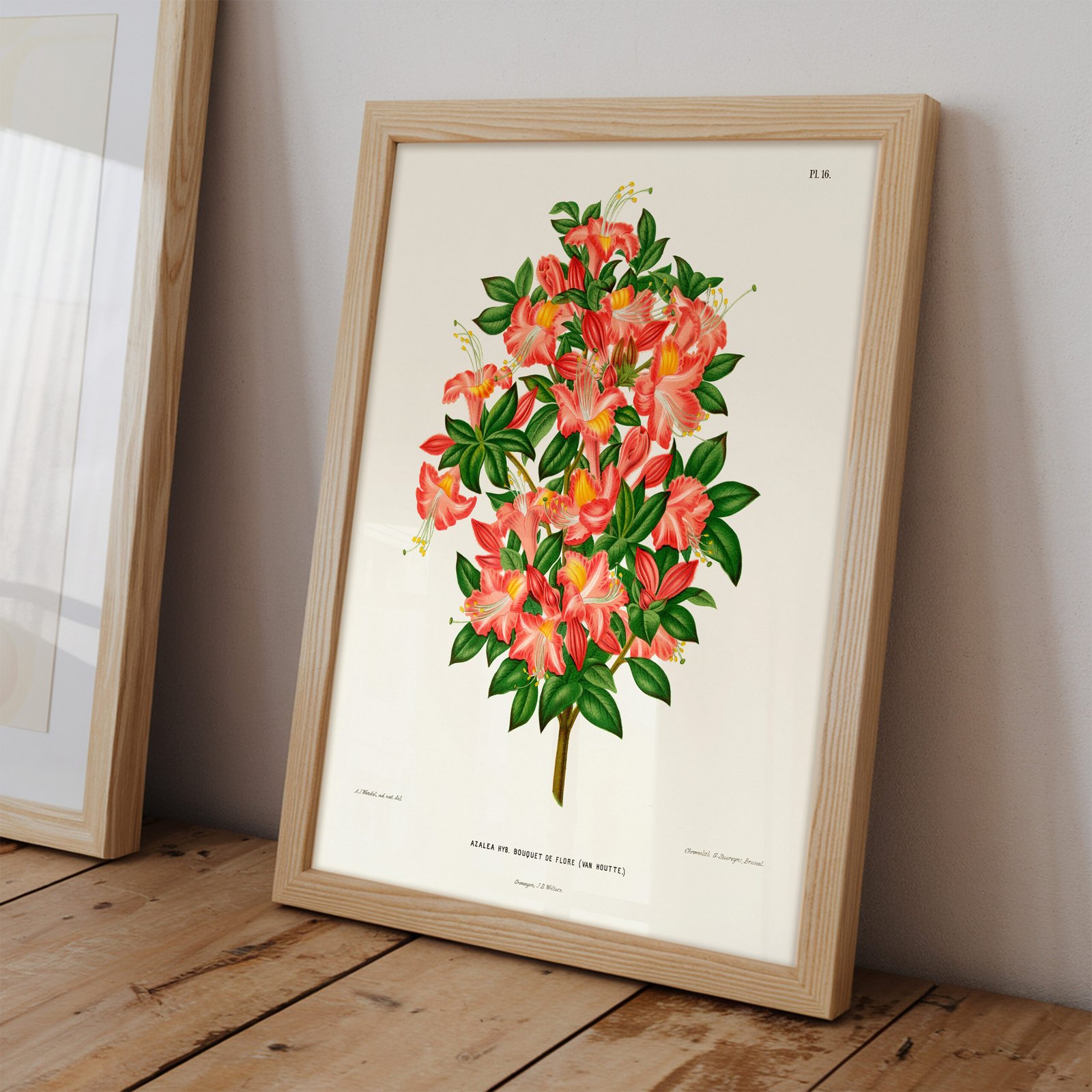 Azalea Botanical Print by Abraham Jacobus Wende - Image 2